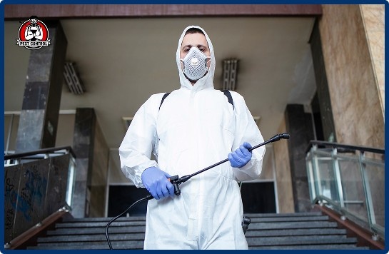 commercial pest control services in New Braunfels