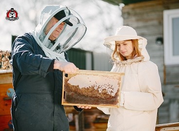 bee removal in New Braunfels.