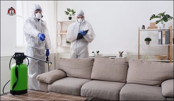 home pest control in New Braunfels, TX