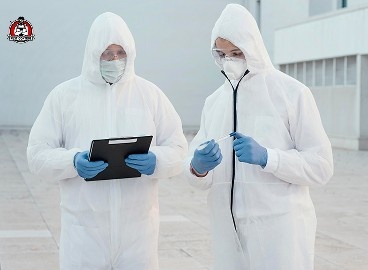 spider removal in New Braunfels