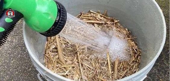 backyard mosquito control new braunfels tx