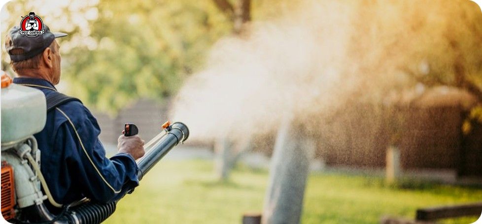 mosquito control service in New braunfels TX