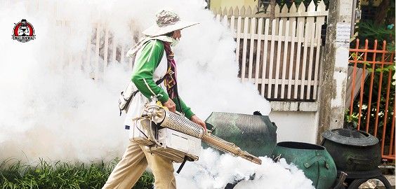 mosquito control new braunfels tx