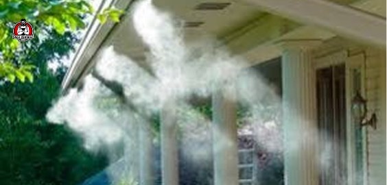 mosquito control services in New Braunfels