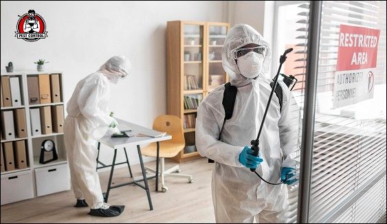 commercial exterminator in New braunfels