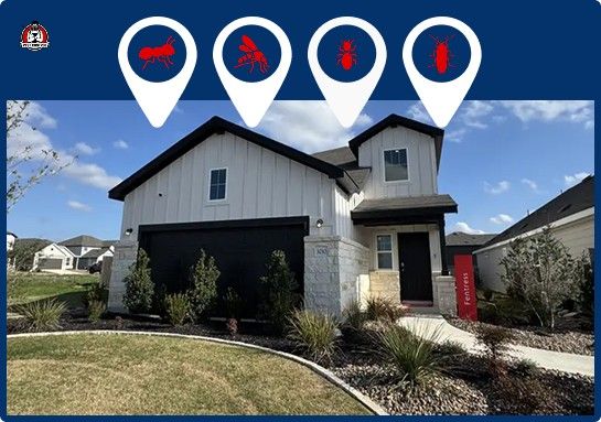 pest control for homes in New Braunfels