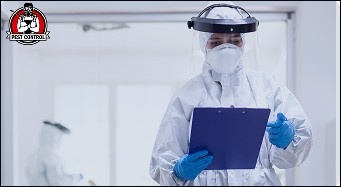 New Braunfels termite exterminator.