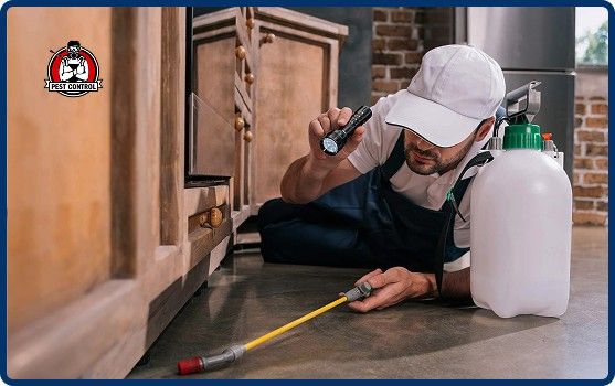 Commercial Pest Control in New Braunfels