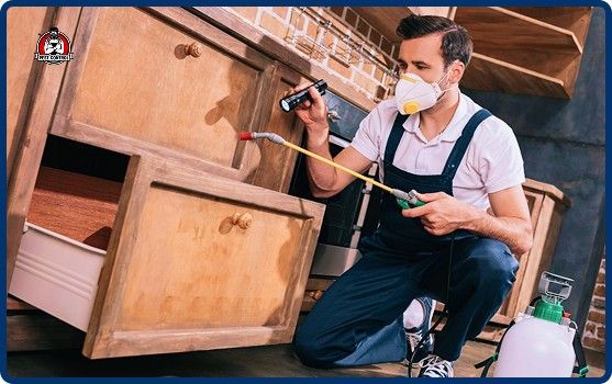 residential exterminators in New Braunfels.