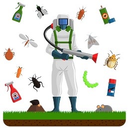 Professional exterminators in New Braunfels