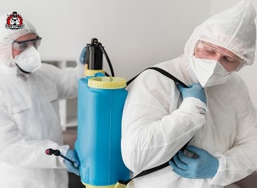 scorpion removal in New Braunfels,