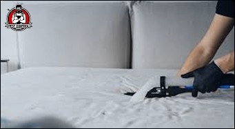 bed bug control experts in New Braunfels.