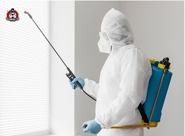 fly pest control in New Braunfels