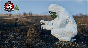 termite control near you in New Braunfels?