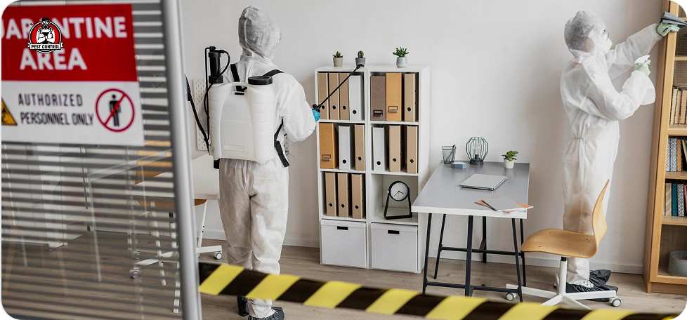 Local ant exterminators in New Braunfels