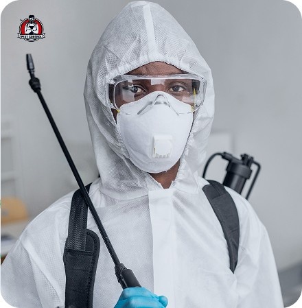 affordable spider control in New Braunfels