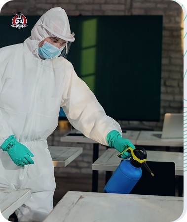 scorpion pest control in New Braunfels