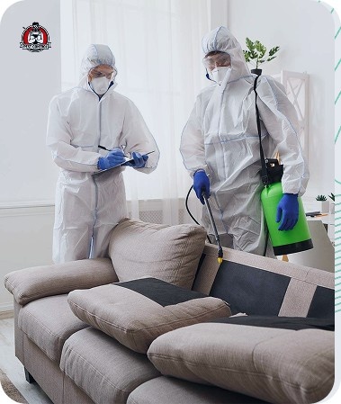 flea treatment New Braunfels