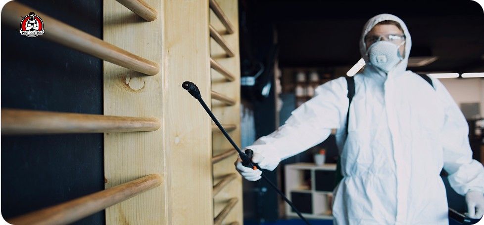 termite treatment in New Braunfels, TX.