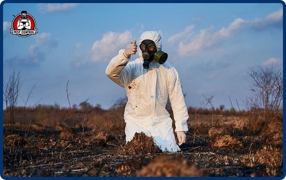 Humane animal removal in New Braunfels