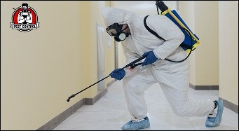 Professional fire ant control in New Braunfels.